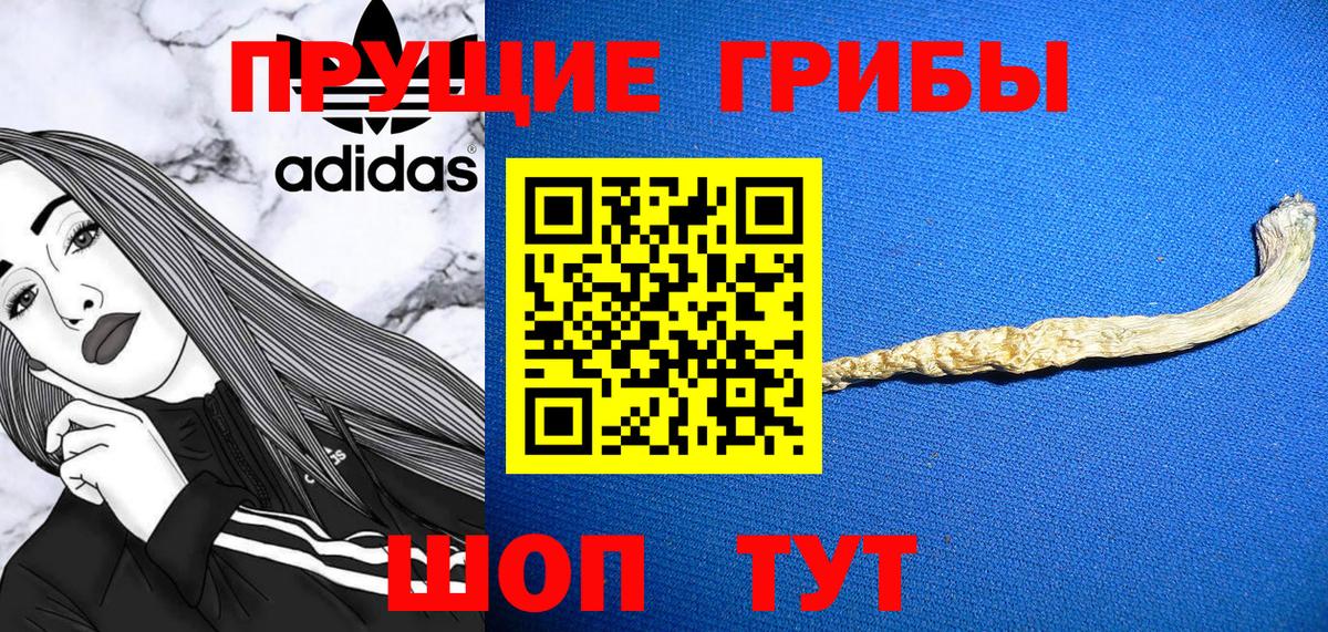 Псилоцибиновые грибы прущие грибы  Вход с VPN  Кизилюрт  Галлюциногенные грибы ЛСД 